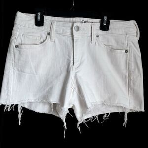 White Denim Jean Cut-off Shorts 8